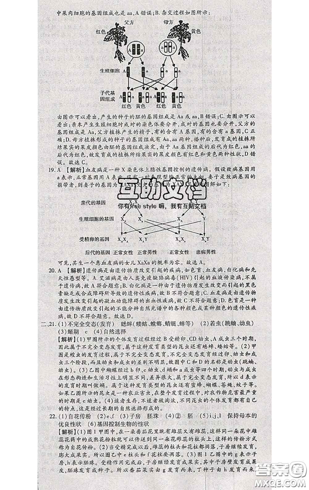 2020春全程測評試卷八年級生物下冊人教版答案