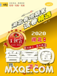 2020年王朝霞各地期末試卷精選六年級(jí)語(yǔ)文下冊(cè)人教版湖北專版答案