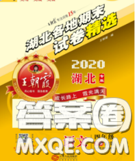 2020年王朝霞各地期末試卷精選四年級語文下冊人教版湖北專版答案