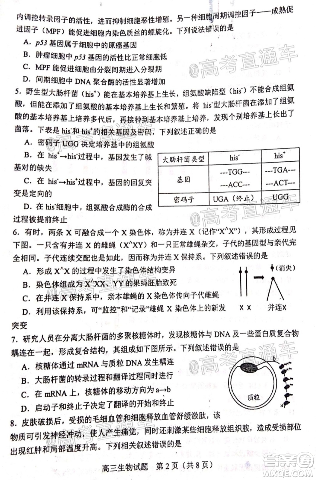 2020年淄博三模高三生物試題及答案