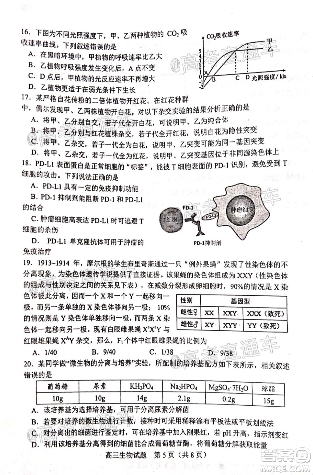 2020年淄博三模高三生物試題及答案