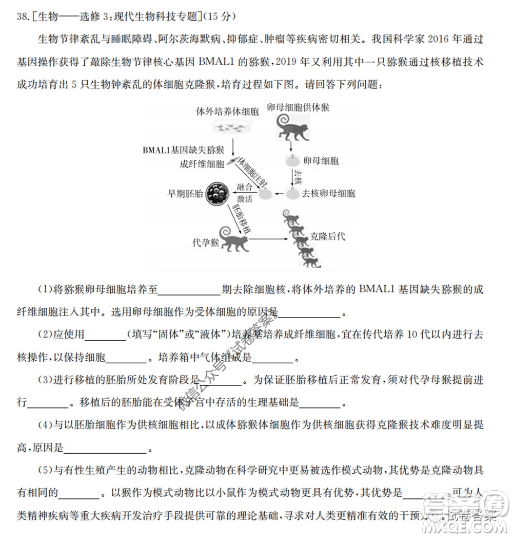 2020年高考全國卷考前沖刺演練精品密卷II理科綜合試題及答案