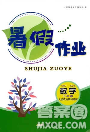 安徽人民出版社2020年暑假作業(yè)數(shù)學(xué)七年級(jí)人民教育教材適用參考答案