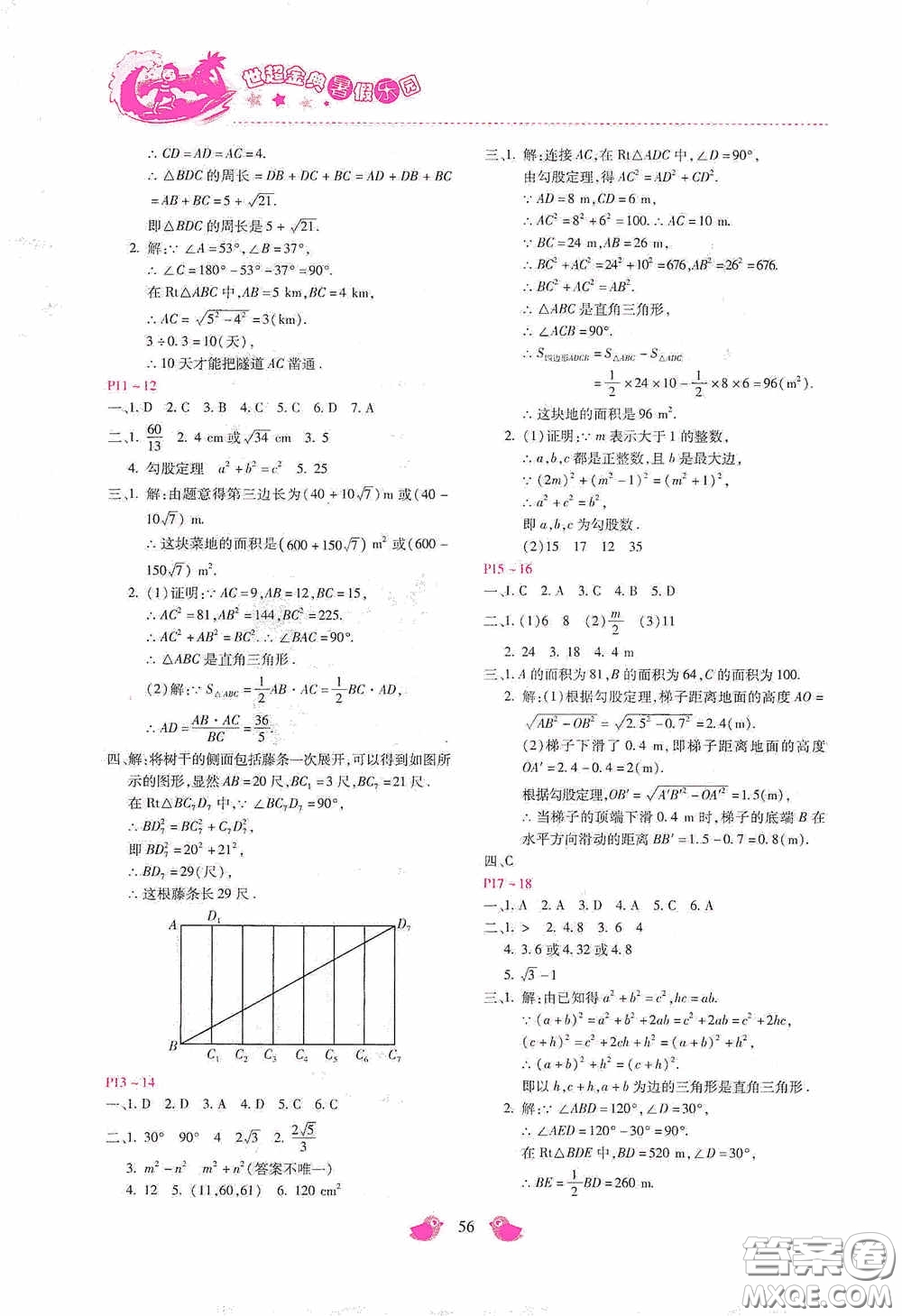 河北少年兒童出版社2020世超金典暑假樂園八年級(jí)數(shù)學(xué)答案