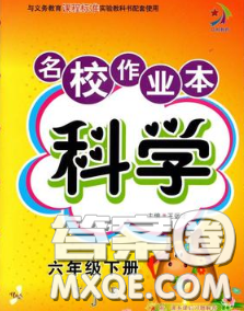 云南科技出版社2020新版名校作業(yè)本六年級科學(xué)下冊粵教版答案