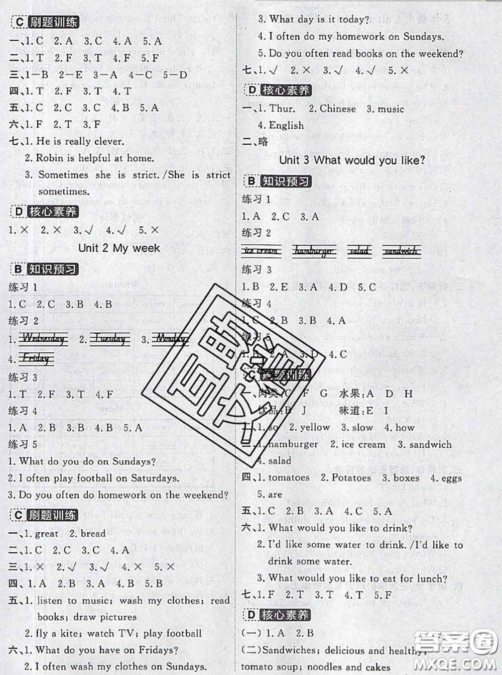 寧波出版社2020新版名師派暑假銜接四升五英語(yǔ)答案