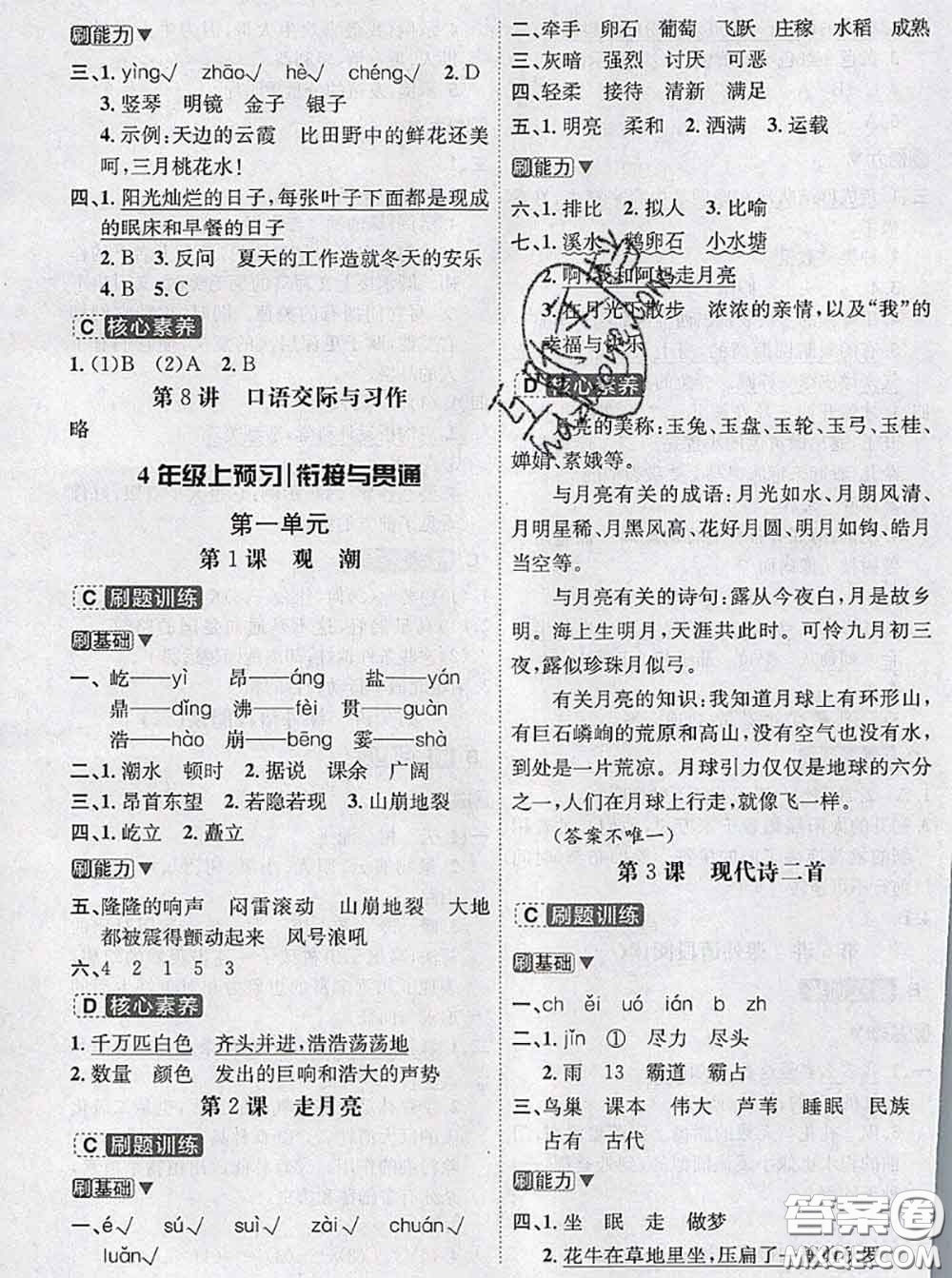 寧波出版社2020新版名師派暑假銜接三升四語(yǔ)文答案