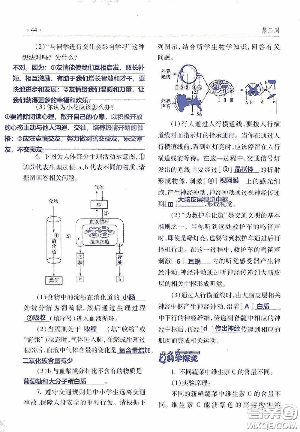 青島出版社2020暑假生活指導七年級六三學制答案