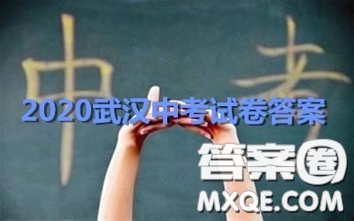 2020湖北省武漢市初中畢業(yè)生學業(yè)考試數(shù)學試卷及答案