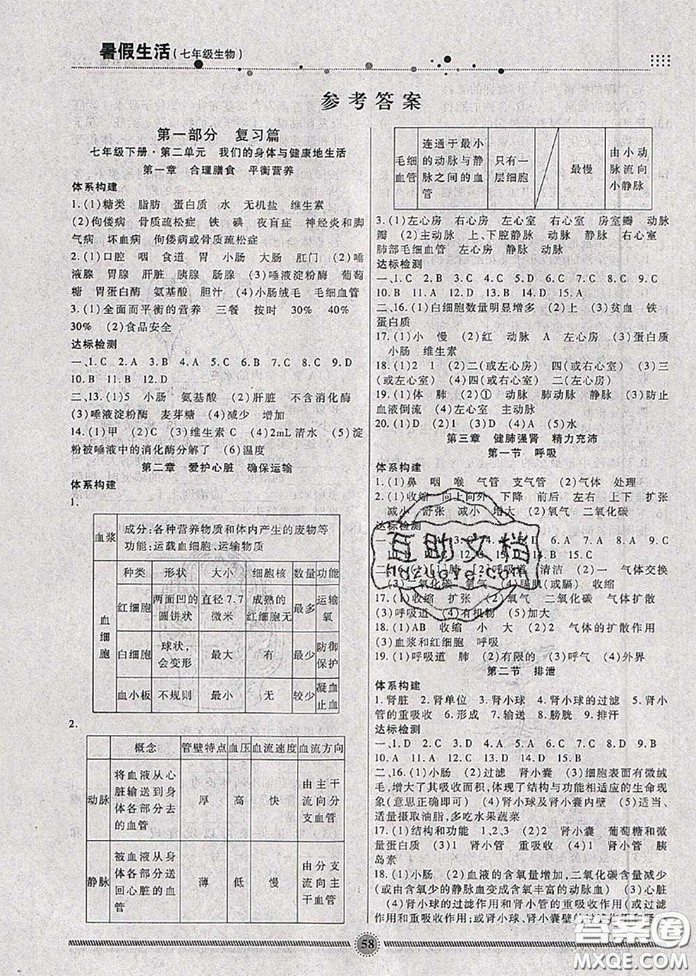 新疆文化出版社2020暑假生活七年級(jí)生物人教版參考答案