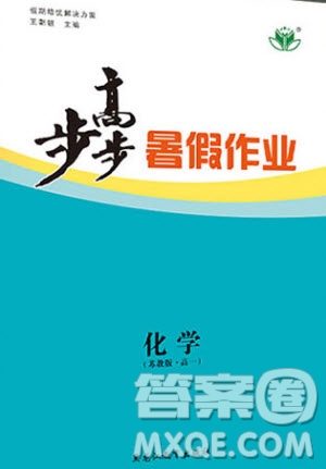 黑龍江教育出版社2020年步步高暑假作業(yè)高一化學蘇教版參考答案