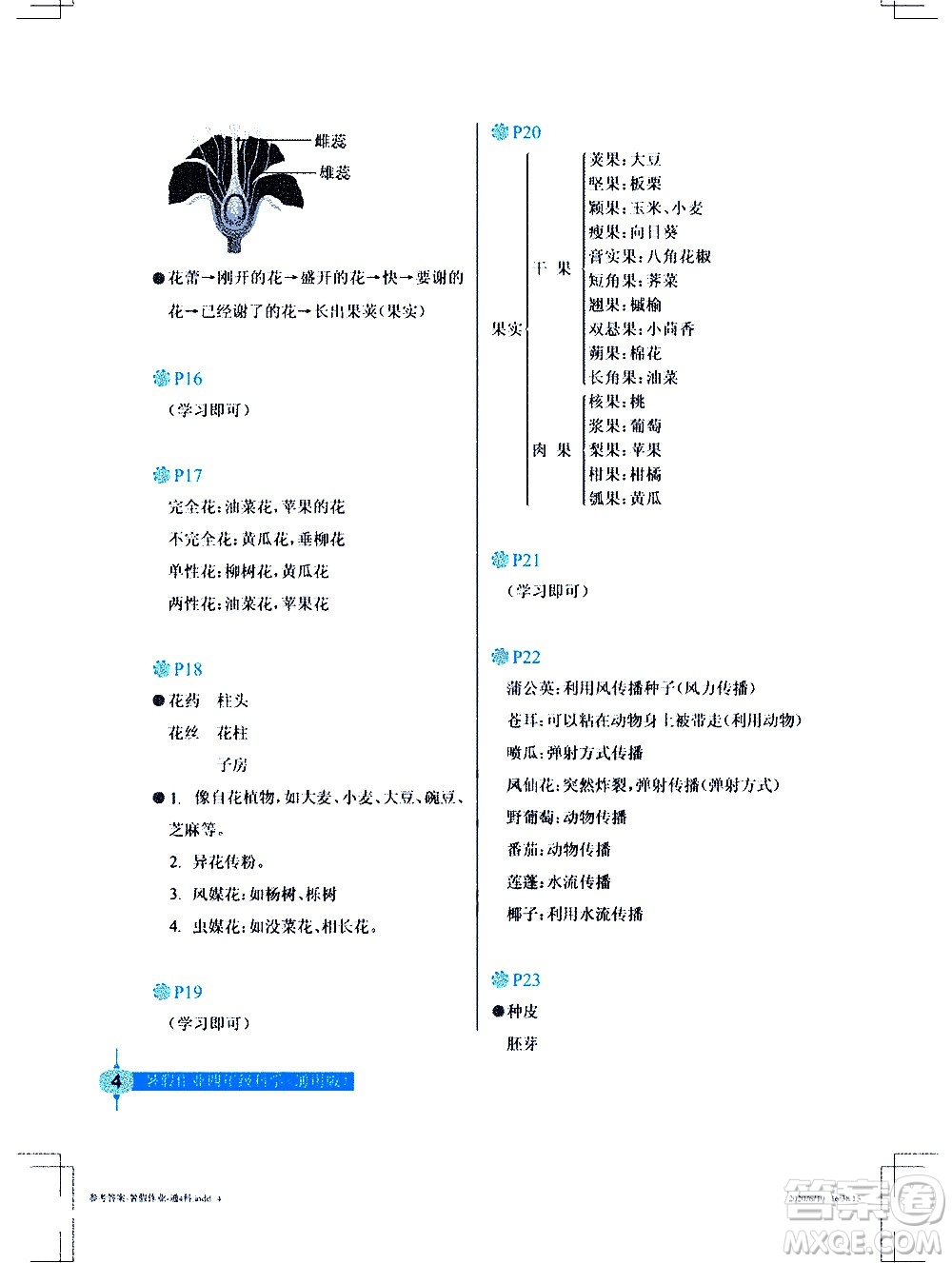 長江少年兒童出版社2020年科學(xué)暑假作業(yè)四年級通用版參考答案