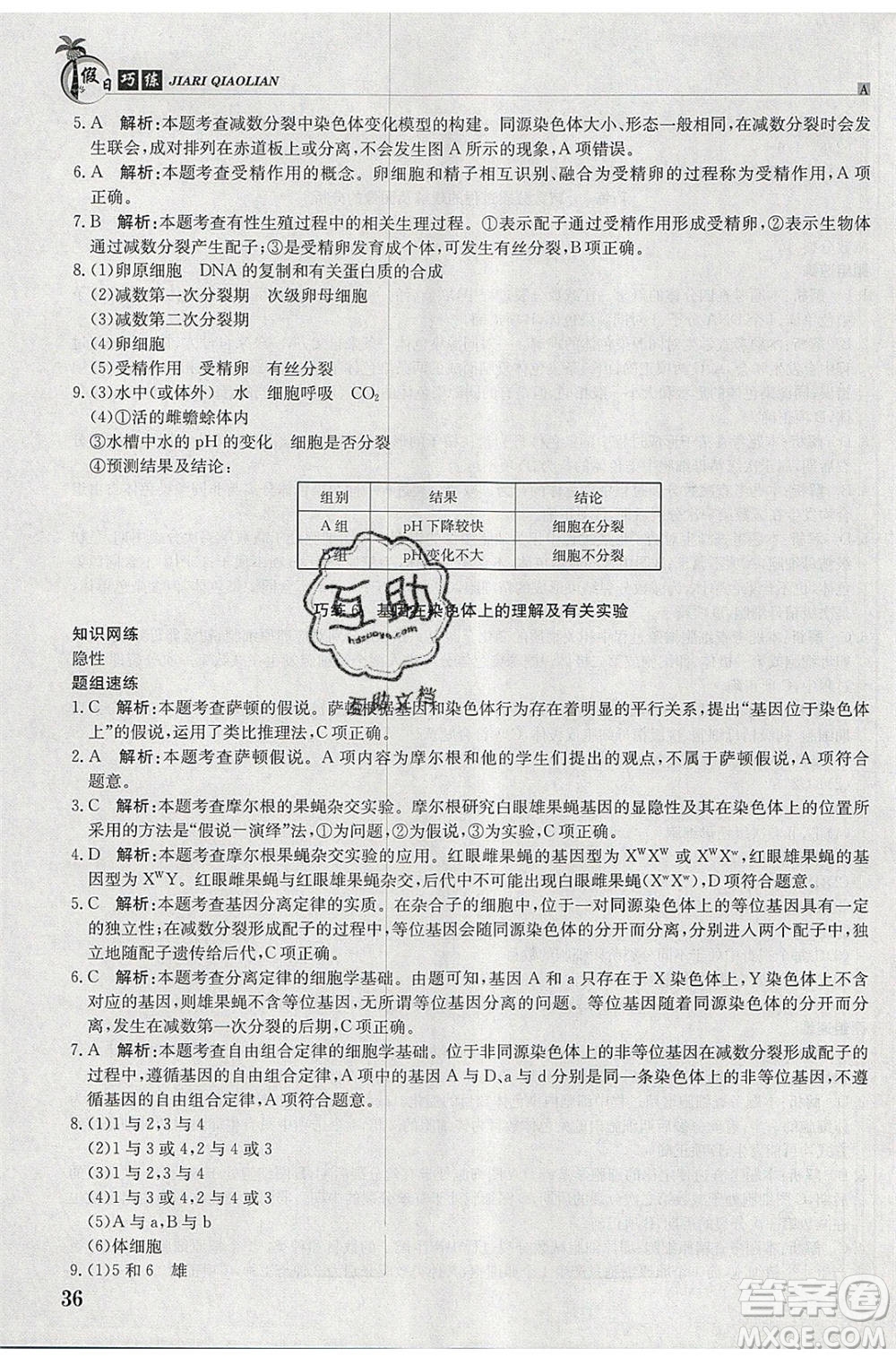 江西高校出版社2020年假日巧練暑假生物必修2人教版參考答案