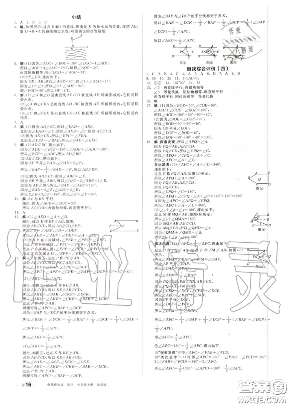 陽光出版社2020秋全品作業(yè)本七年級數(shù)學(xué)上冊華師版答案