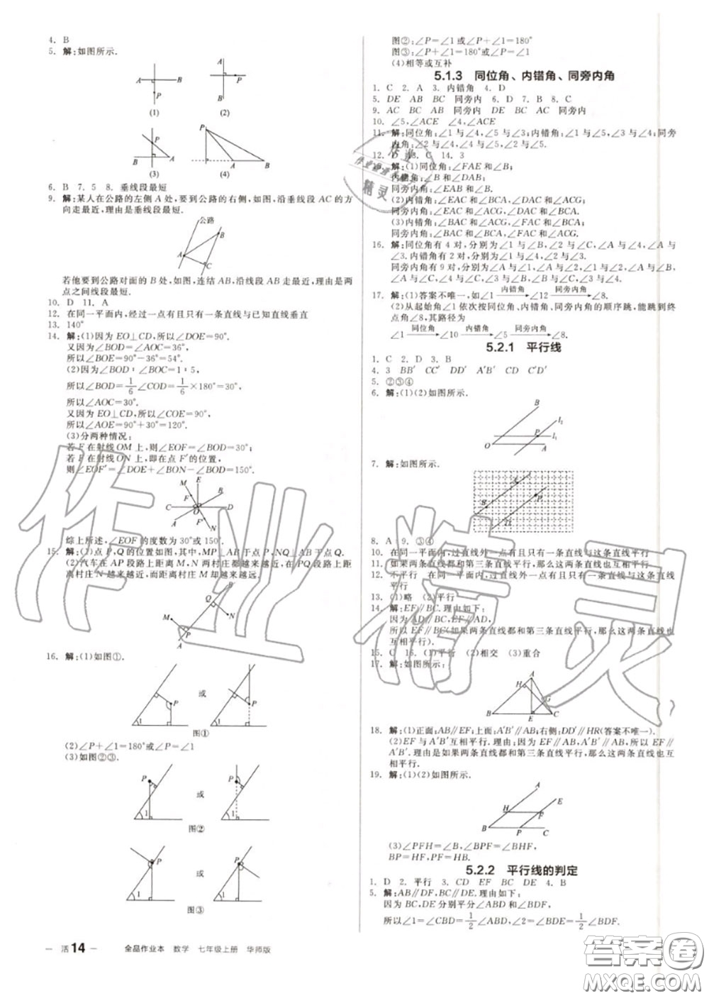 陽光出版社2020秋全品作業(yè)本七年級數(shù)學(xué)上冊華師版答案