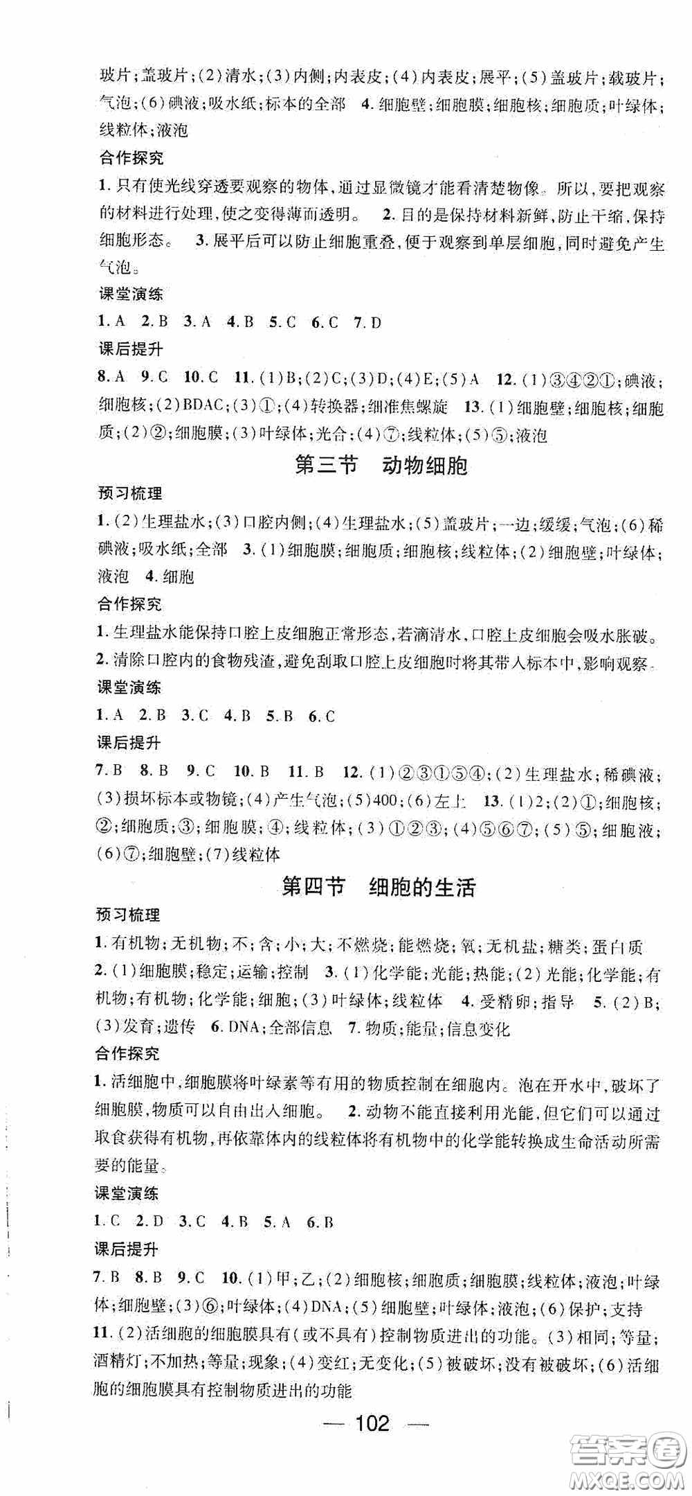 陽光出版社2020精英新課堂七年級(jí)生物上冊(cè)人教版答案