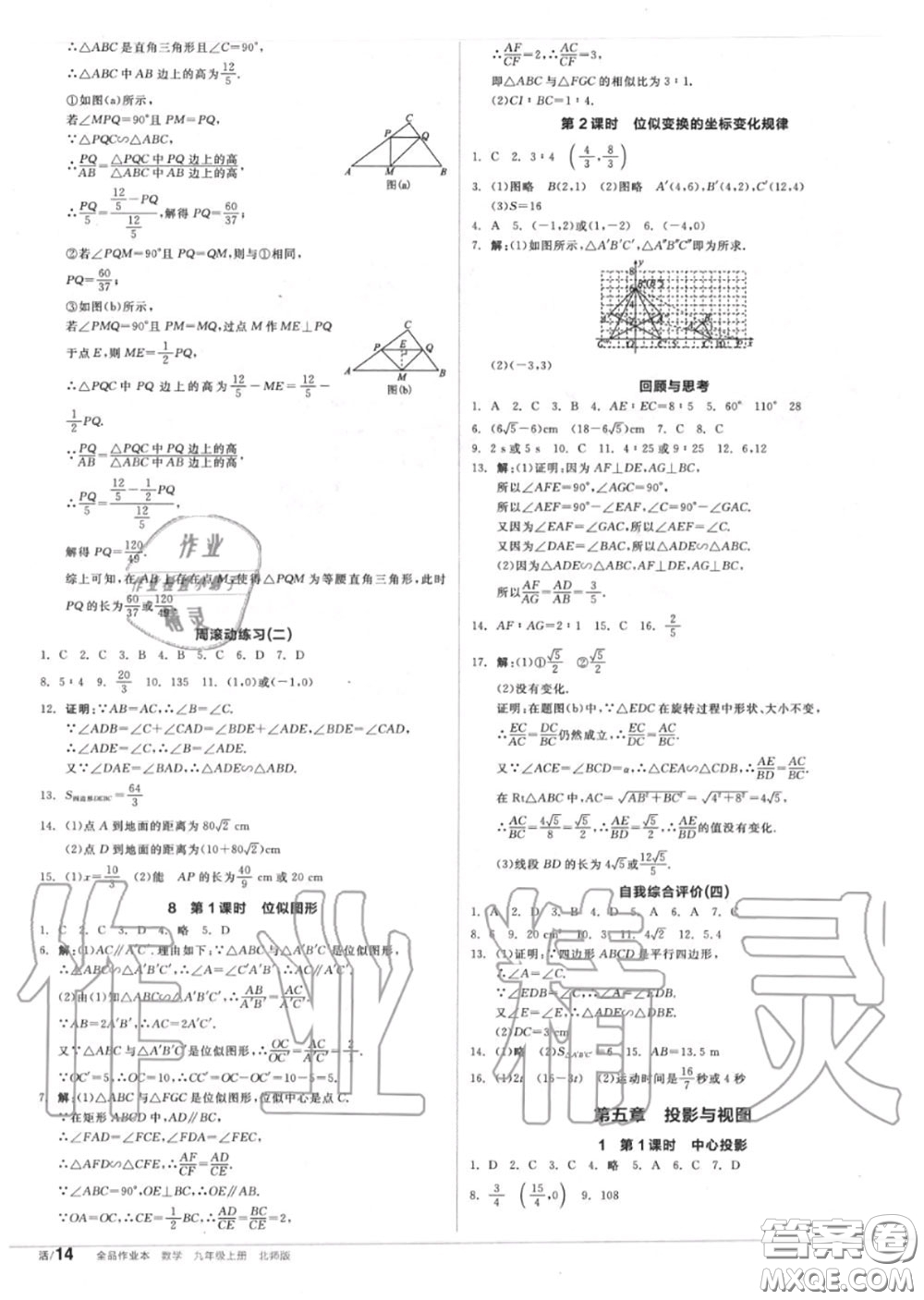 陽(yáng)光出版社2020秋全品作業(yè)本九年級(jí)數(shù)學(xué)上冊(cè)北師版答案