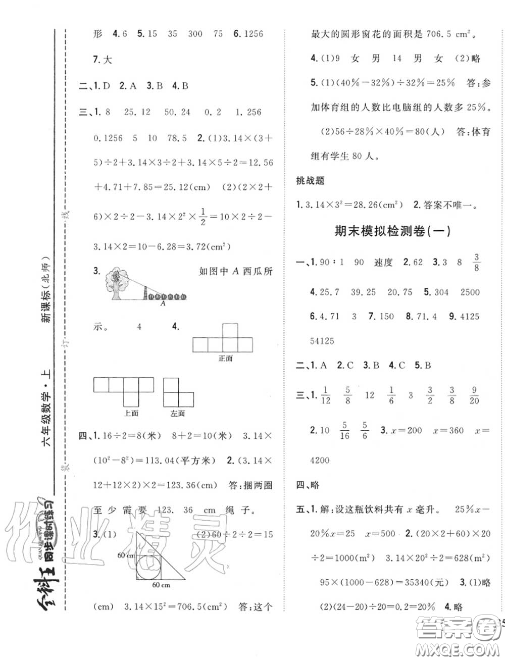 2020秋全科王同步課時練習(xí)六年級數(shù)學(xué)上冊北師版答案