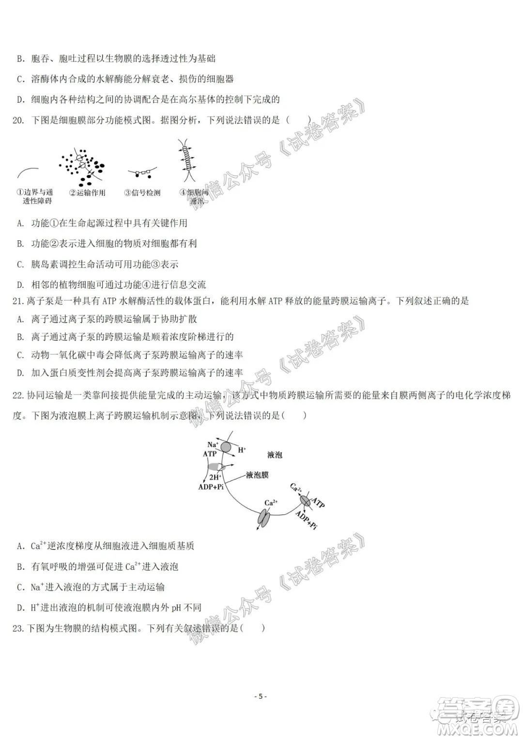 哈爾濱市第六中學(xué)2021屆開學(xué)階段性總結(jié)高三生物試題及答案