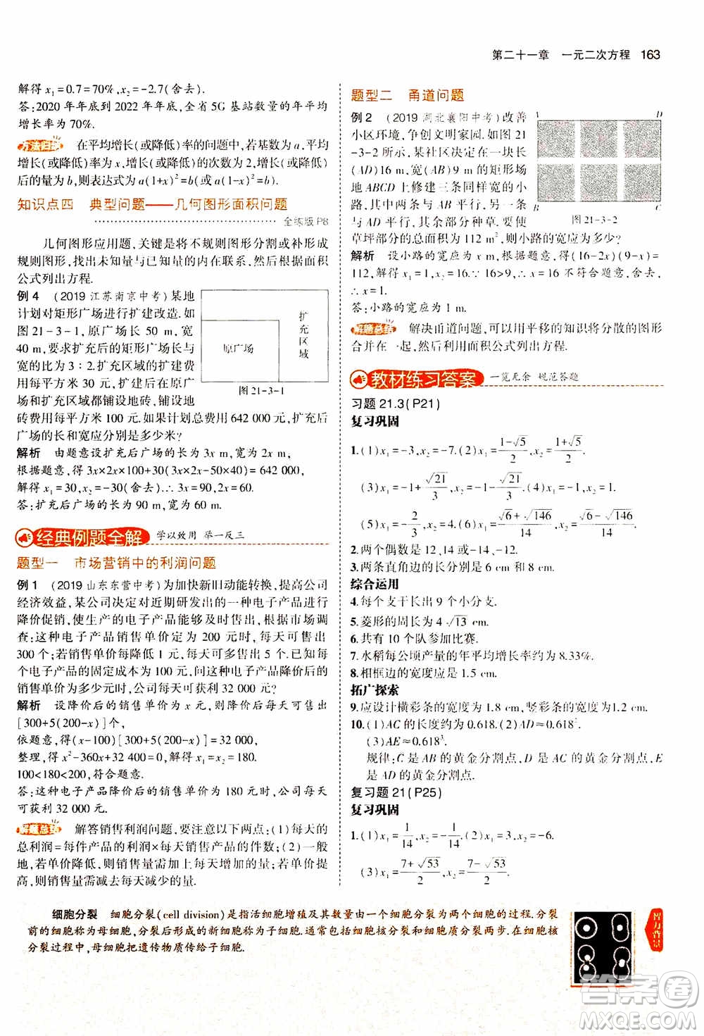 2021版初中同步5年中考3年模擬全解版初中數(shù)學(xué)九年級(jí)上冊(cè)人教版參考答案