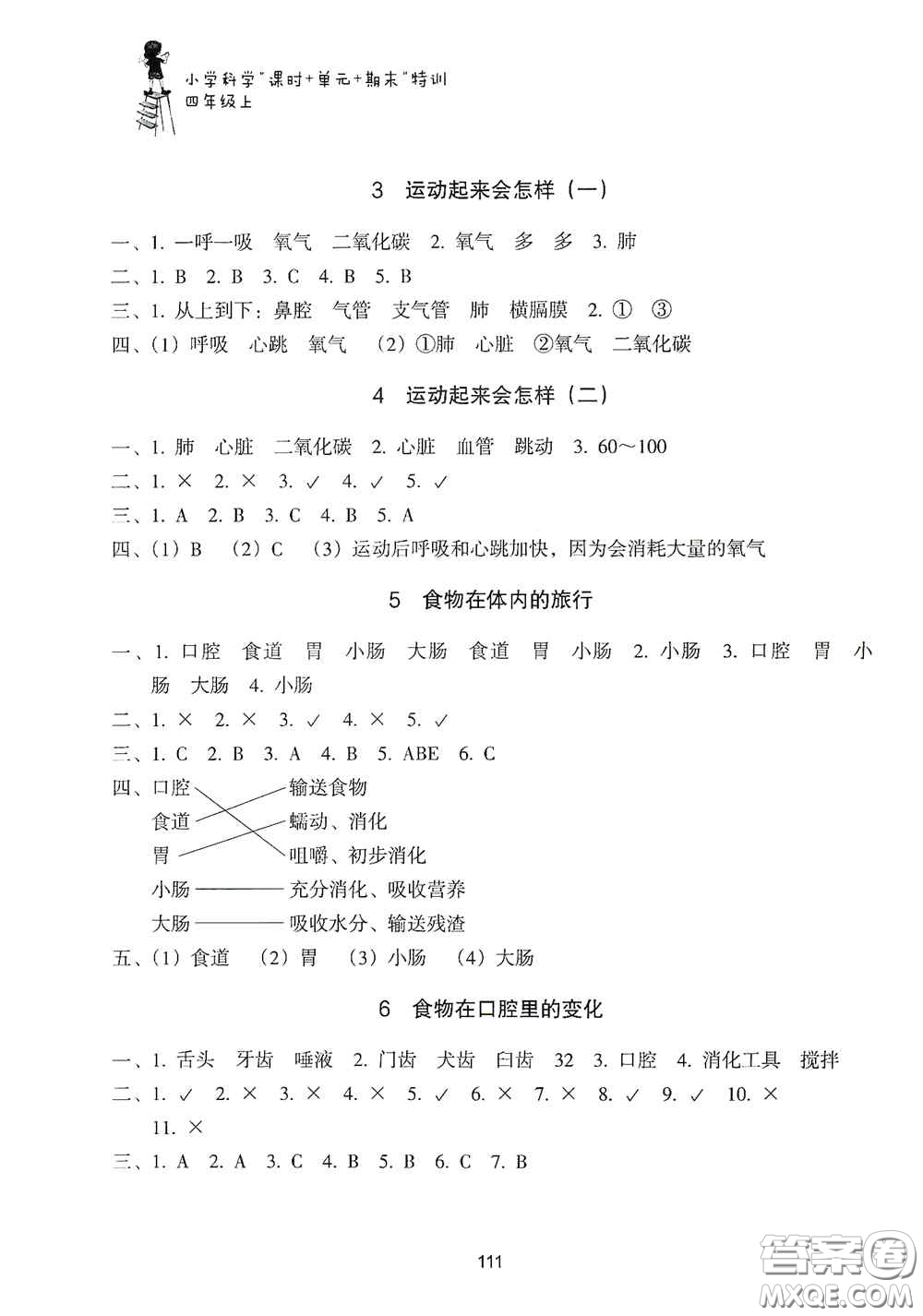 浙江教育出版社2020課時(shí)單元期末特訓(xùn)小學(xué)科學(xué)四年級上冊答案