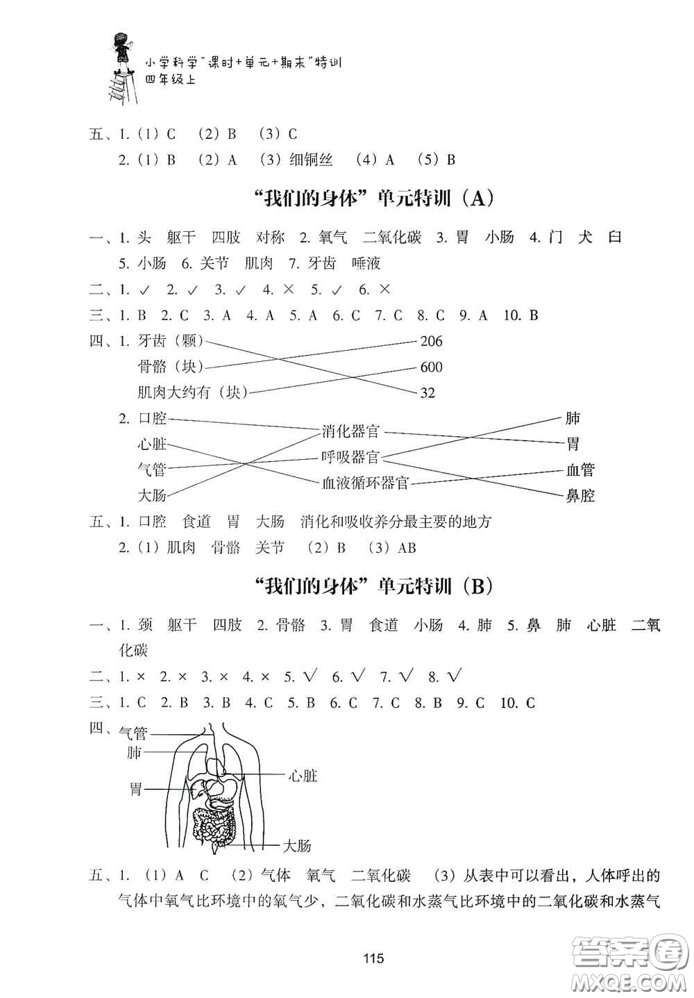 浙江教育出版社2020課時(shí)單元期末特訓(xùn)小學(xué)科學(xué)四年級上冊答案