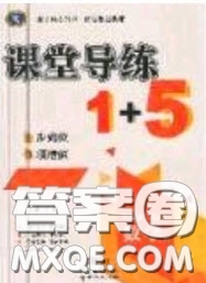 2020秋課堂導(dǎo)練1加5九年級(jí)數(shù)學(xué)上冊(cè)人教版答案