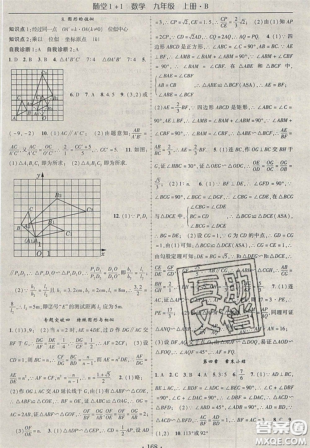 2020年隨堂1加1導(dǎo)練九年級數(shù)學(xué)上冊北師大版答案