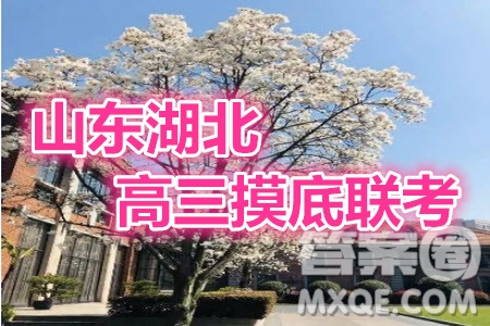 山東湖北部分重點中學(xué)2021屆高三新起點摸底聯(lián)考語文試題及答案