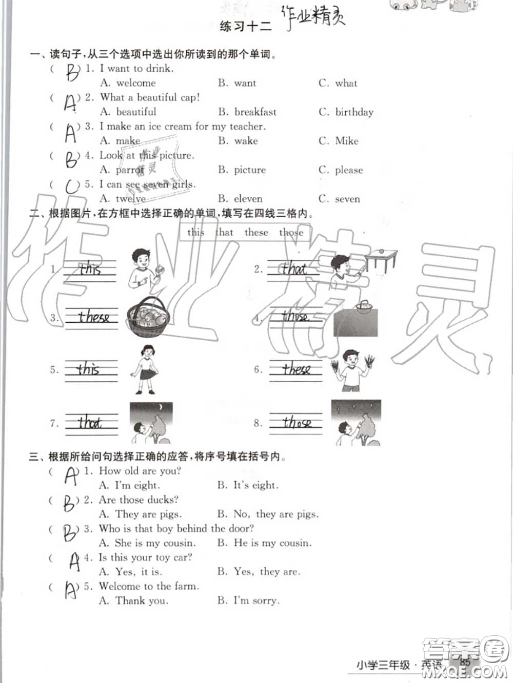 譯林出版社2020年暑假學(xué)習(xí)生活三年級合訂本通用版答案