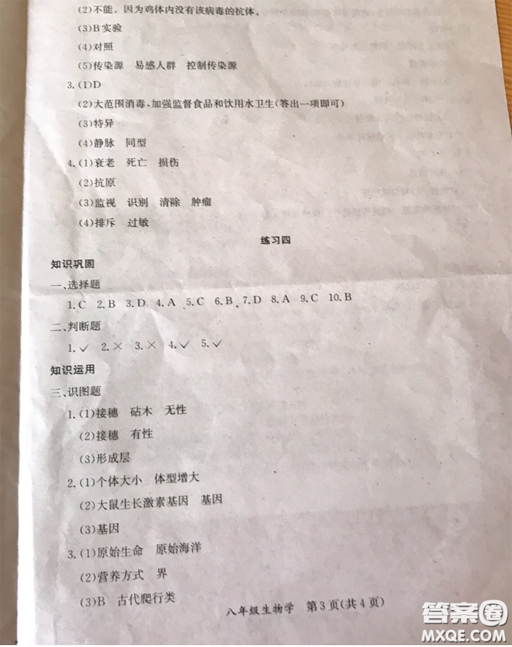 延邊教育出版社2020年暑假作業(yè)八年級(jí)數(shù)學(xué)英語生物人教版參考答案