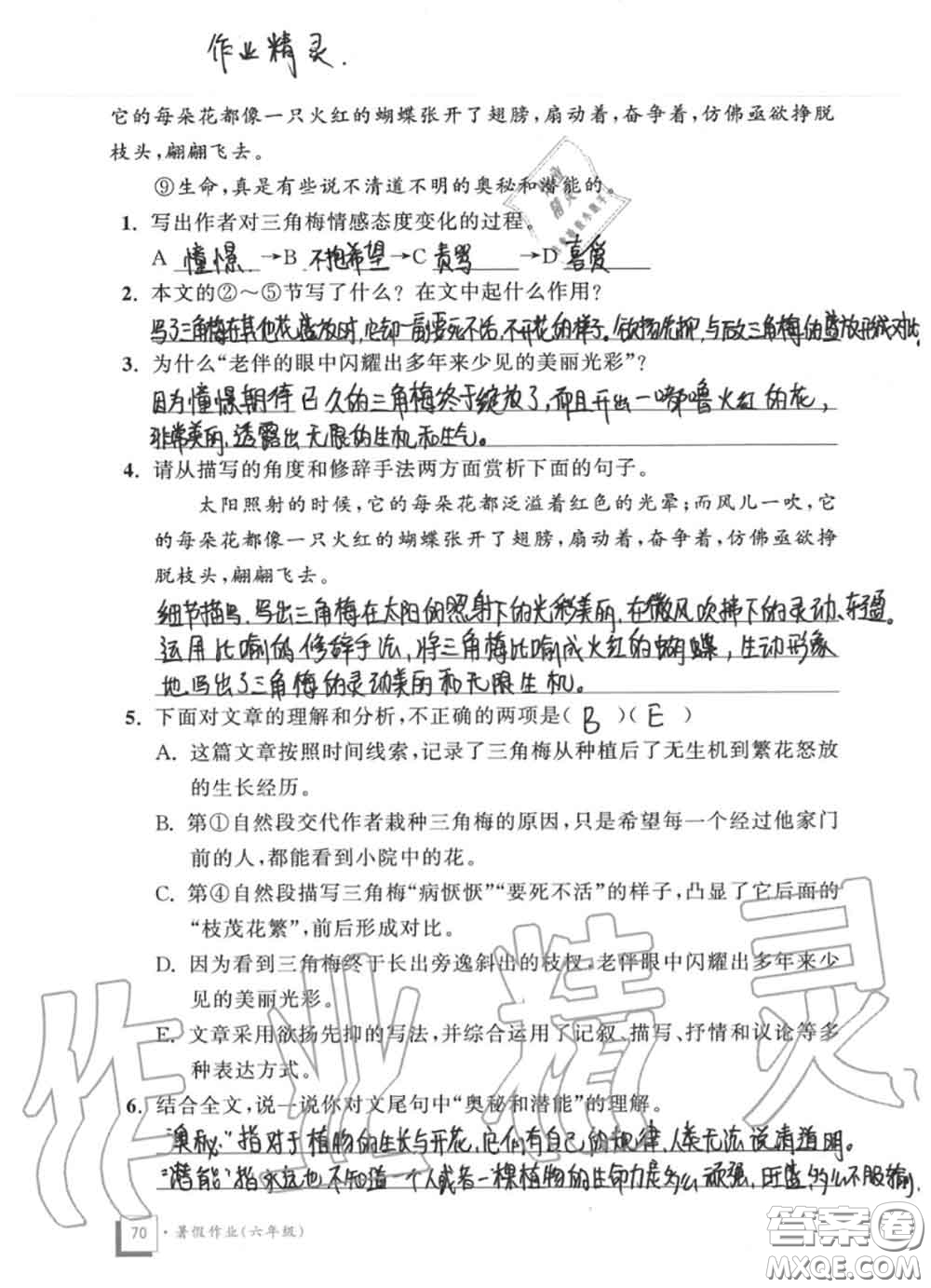 教育科學(xué)出版社2020暑假作業(yè)六年級(jí)合訂本通用版參考答案