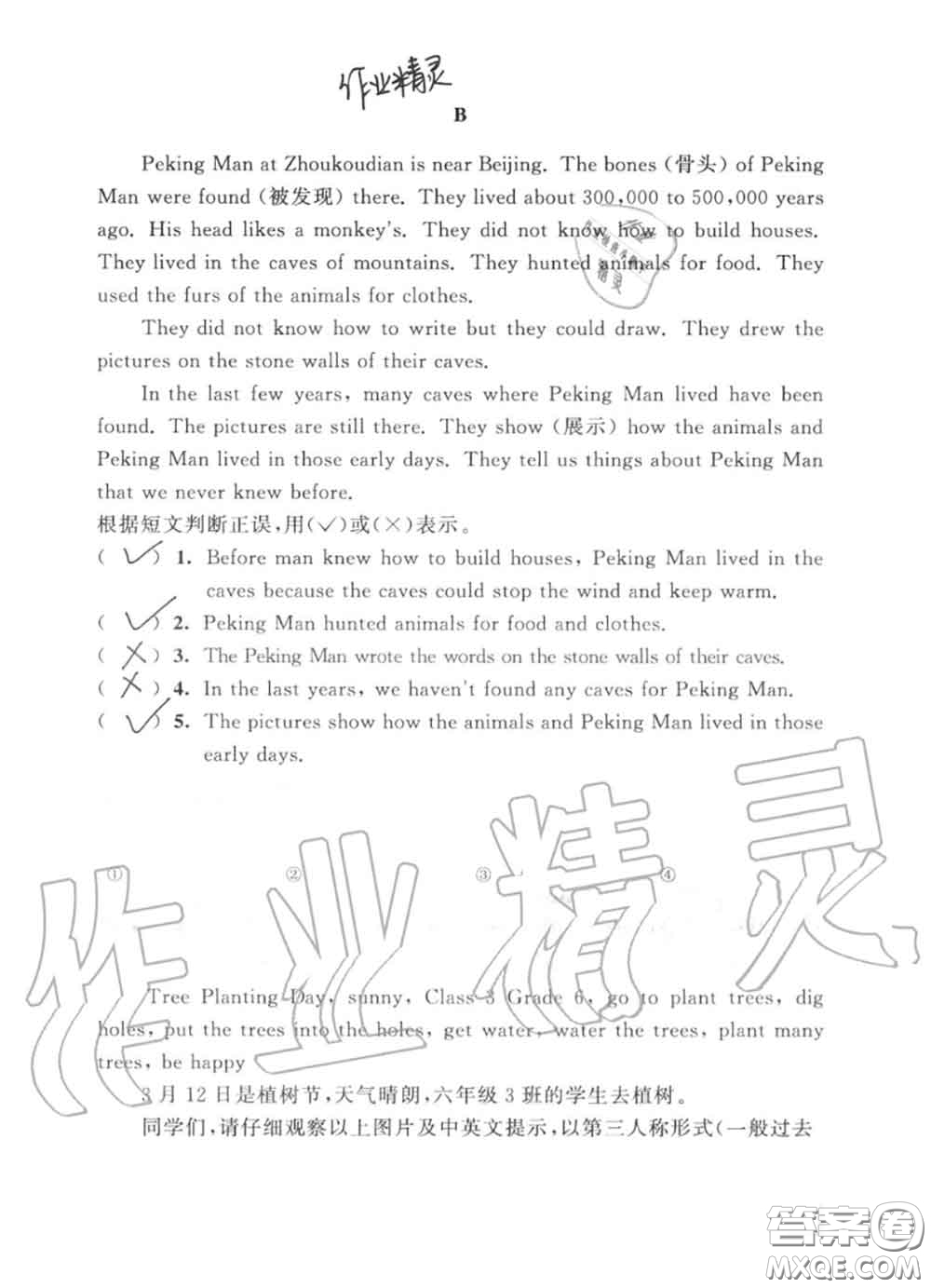 教育科學(xué)出版社2020暑假作業(yè)六年級(jí)合訂本通用版參考答案