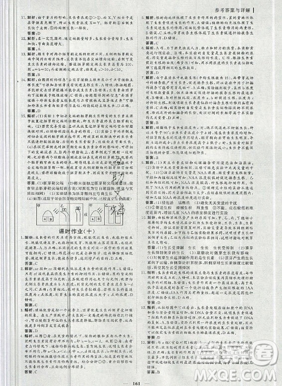 2020年優(yōu)化探究同步導(dǎo)學(xué)案生物必修3人教版答案