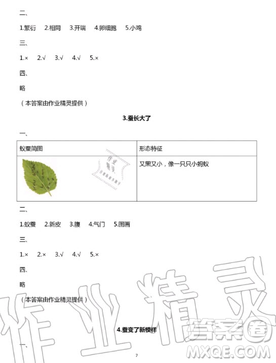 教育科學出版社2020年暑假作業(yè)三年級科學教科版答案