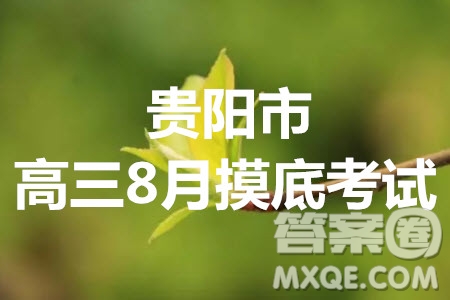 貴陽市普通高中2021屆高三年級(jí)8月摸底考試文科數(shù)學(xué)試題及答案