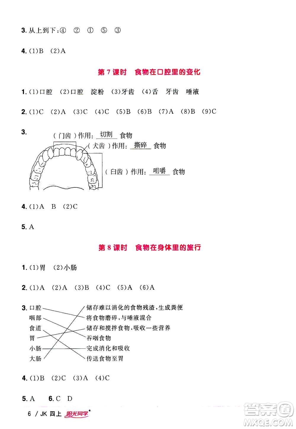 2020年陽光同學(xué)課時優(yōu)化作業(yè)科學(xué)四年級上冊JK教科版答案