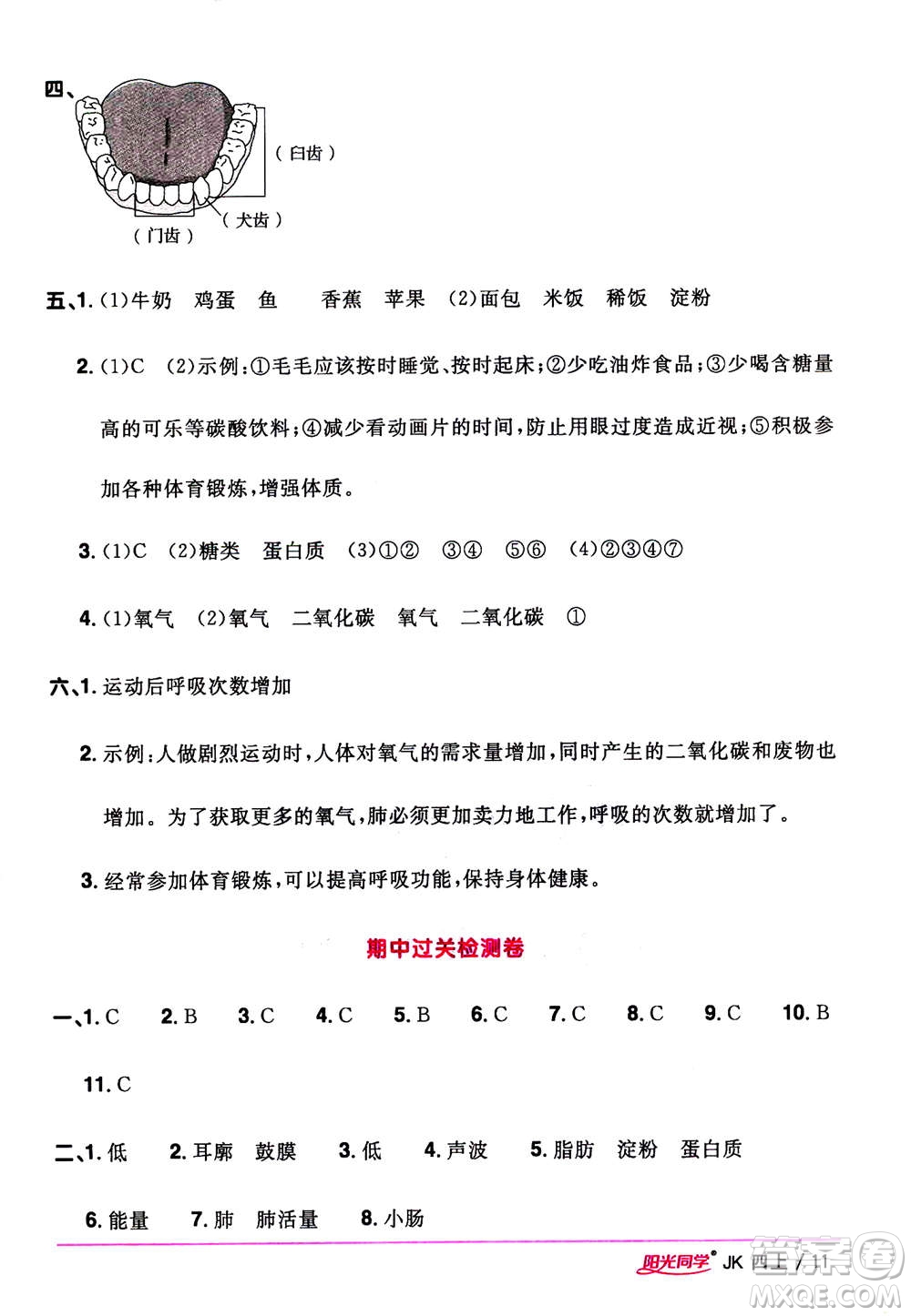 2020年陽光同學(xué)課時優(yōu)化作業(yè)科學(xué)四年級上冊JK教科版答案