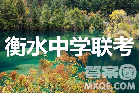 河北省衡水中學(xué)2021屆全國高三第一次聯(lián)合考試物理試題及答案