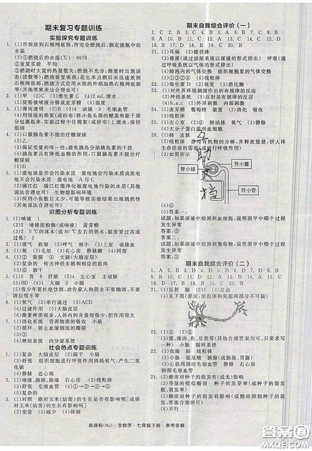 2020年期末考向標(biāo)海淀新編跟蹤突破測試卷七年級數(shù)學(xué)上冊湘教版答案