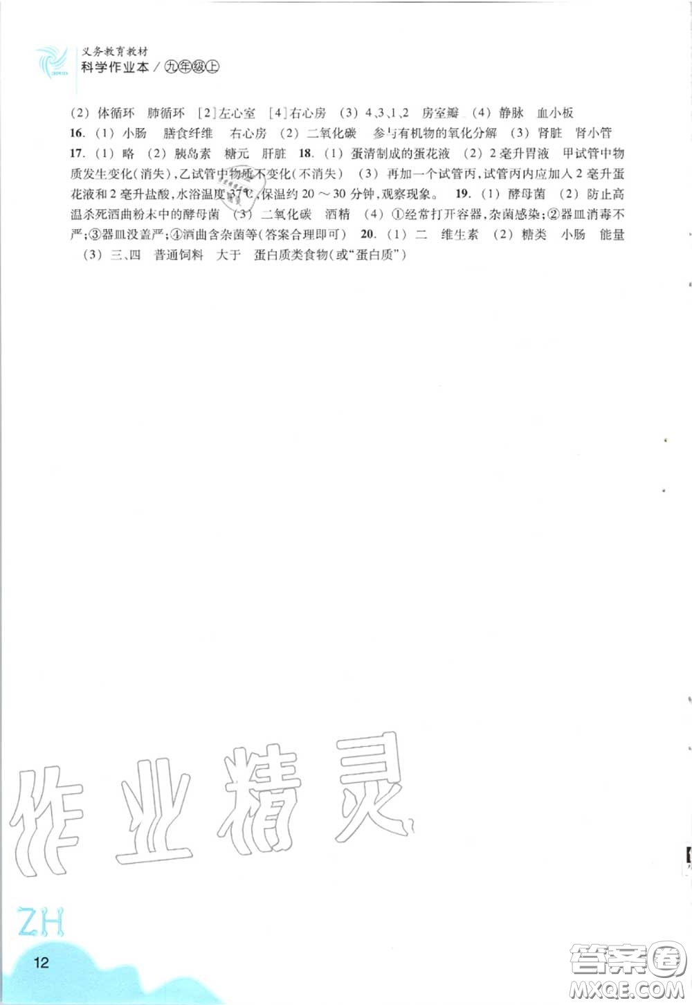 浙江教育出版社2020年科學(xué)作業(yè)本九年級(jí)上冊(cè)浙教版答案