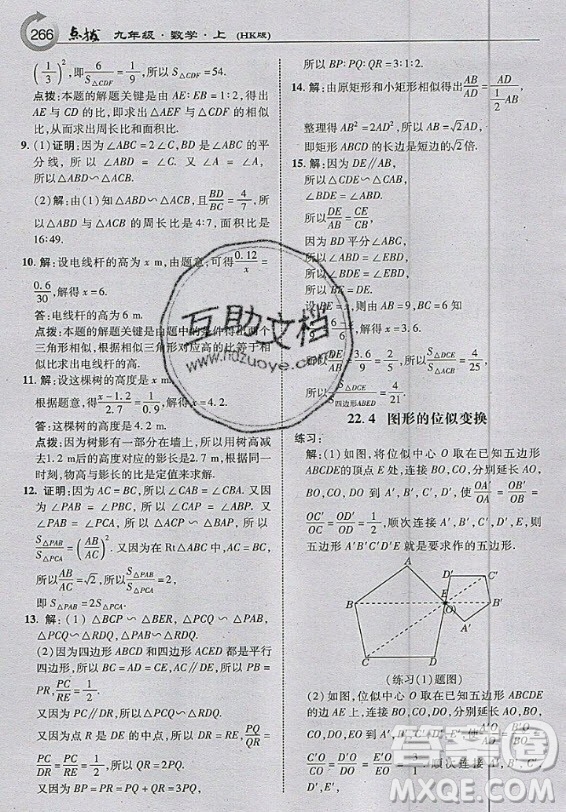 上?？茖W技術(shù)出版社2020年九年級上冊滬科版數(shù)學教材習題答案