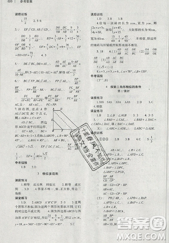 大象出版社2019年基礎(chǔ)訓(xùn)練九年級(jí)全一冊(cè)數(shù)學(xué)北師大版答案