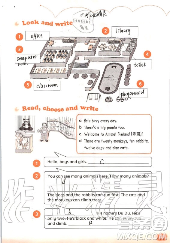 上海教育出版社2020年英語活動手冊四年級上冊滬教版答案