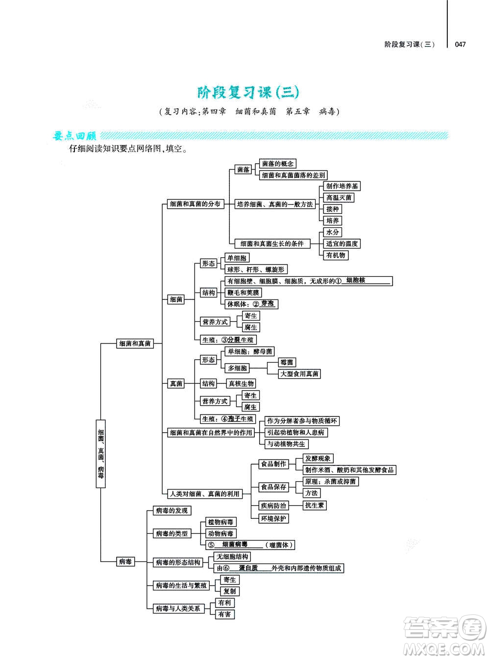 大象出版社2020年基礎(chǔ)訓(xùn)練八年級上冊生物學(xué)人教版答案