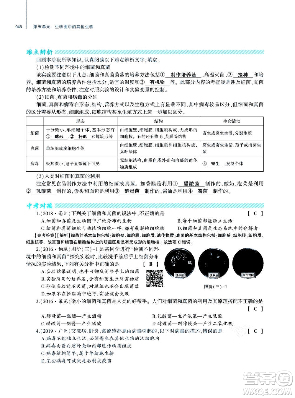 大象出版社2020年基礎(chǔ)訓(xùn)練八年級上冊生物學(xué)人教版答案