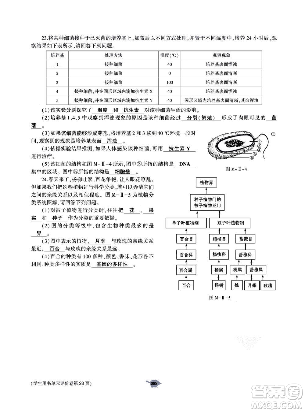 大象出版社2020年基礎(chǔ)訓(xùn)練八年級上冊生物學(xué)人教版答案