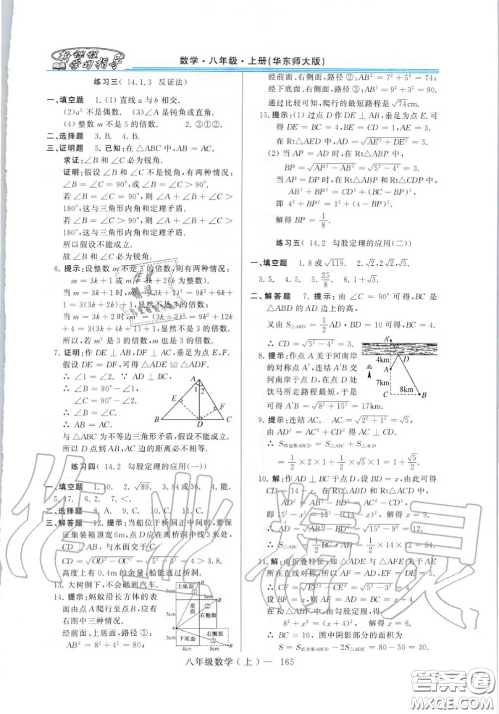 2020年秋新課程學習指導八年級數(shù)學上冊華師版參考答案