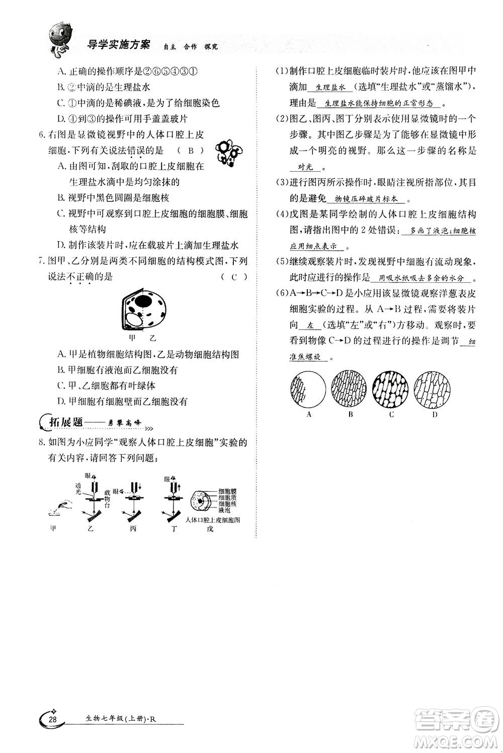 江西高校出版社2020年金太陽導(dǎo)學(xué)案生物七年級上冊人教版答案