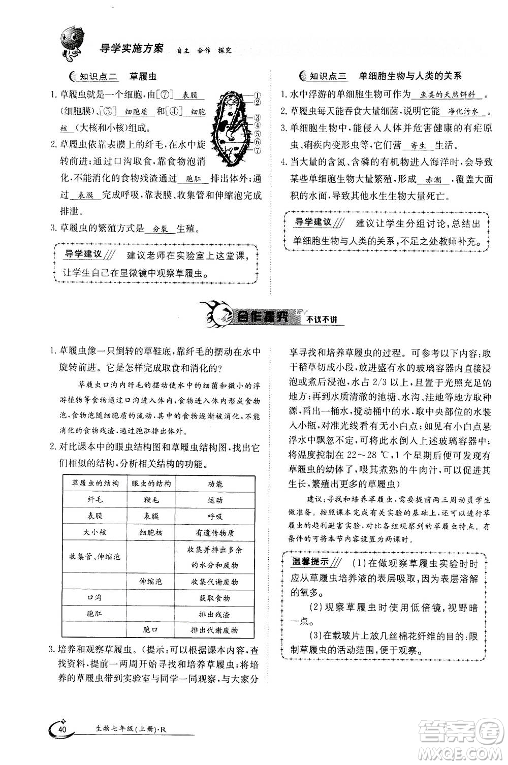 江西高校出版社2020年金太陽導(dǎo)學(xué)案生物七年級上冊人教版答案